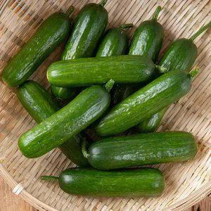 국내산 아삭한 스낵오이 미니오이 1kg