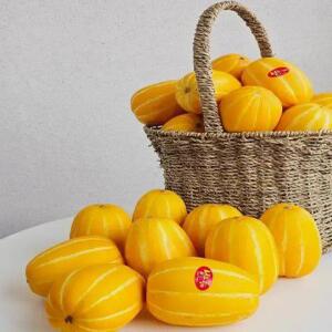 프리미엄 성주 참외 특품 3kg 5kg