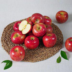 가정용 부사사과 4kg 중소과 (20~24과 내외)