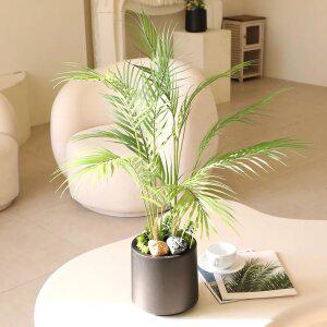 인조식물 인테리어 미니화분 실내 테이블플랜트 조화화분 아레카야자화분