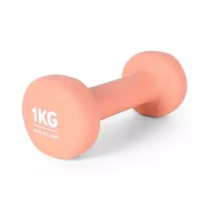 QQ D EG 네오프렌 아령 1kg ( 근력 헬스 요가 체중 몸매 라인 관리 필라테스 운동