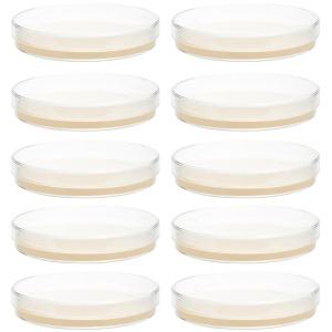 사전 주입 한천 플레이트 페트리 접시 한천 학 실험 영양제 배양 배지 빅맨 생워터 플레이트 10 개