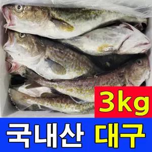 주문진 국내산 비손질 급속냉동 대구 3kg 2~5마리 통대구