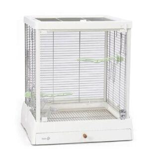 렉산 새장 앵무새 투명 횃대 이동장 조류 이동 새집 알통 모란 잉꼬 렉산새장 케이지