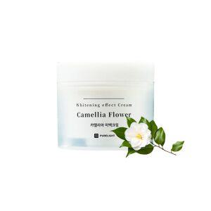 카멜리아 자포니아 추출물 피부 미백 크림 기능성 미백크림 기능성효과 보습주름 개선피부 진정꿀피부