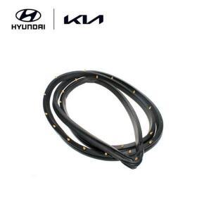 앞문짝 웨더스트립(고무몰딩),운전석쪽 (821304F000) 포터 2/2 일렉트릭 전기차, 포터2 특장