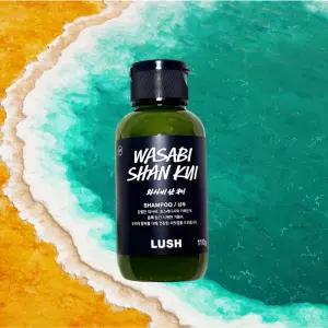 러쉬 상쾌한 멘톨 샴푸 두피청량 모근강화 볼륨업 와사비 샨 쿠이 110g