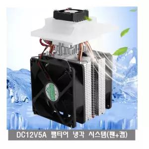 BX39 DC12V 펠티어 키트 냉동 냉각시스템 열전소자 팬 BT