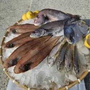 반건조생선 국내 자연산 고흥 나로도 제수용 선물세트 반건조 민어 병어 가자미 서대