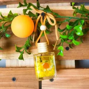 시트러스 걸이형 향 차량방향제 10ml 감귤 선물세트 제주