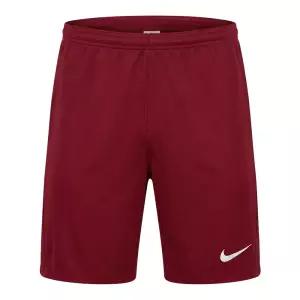 드라이 핏 파크 3 쇼트 NB(BV6855-677)