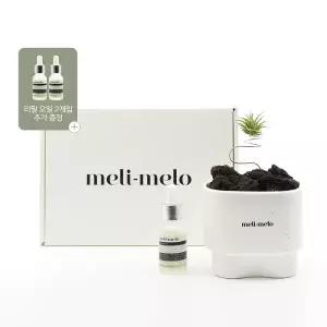 [롯데백화점]쓰리나인 [무케] 멜리멜로_실내 방향제 작은정원 스톤 디퓨저 + 리필오일 2개