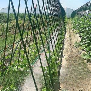 수세미 크다 1 송망 60 포도 텃밭 오이 지지대 넝쿨 키우기 덩쿨 삼각 11mm 가드닝 3가로6세로 작물