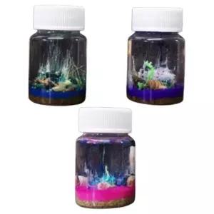 규산소다 화학실험 물속 정원만들기 5인 초등과학키트 방과후 눈꽃모양 돌봄교실