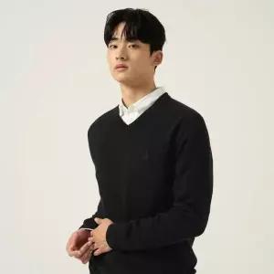 빈폴 BEANPOLE [FW25]울 베이직 브이넥 니트 - 블랙 :BC5951C035