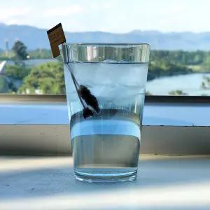 트라이탄컵 473m 안깨지는 카페컵 대한민국 100110 에코스팁컵 에코스틱