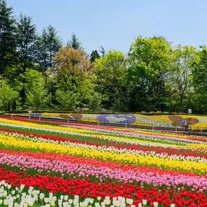 [대구] 이월드 자유이용권 4월