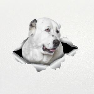 V1003 # 자동차 스티커 알라바이 개 애완 동물 방수 비닐 데칼, 액세서리 장식