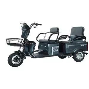 다인승 오토바이 최신형 세발 어르신 전동차 삼륜 시니어 납축배터리 삼륜전동차