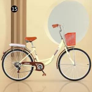 성인 여성용 자전거 클래식 바구니