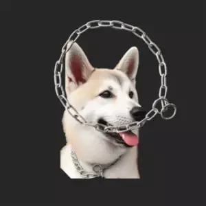 마당개목줄 초크 체인 스텐 철목 4mm 강아지목줄 강아지산책목줄 강아지목끈