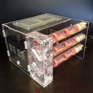 개미 키우기 기르기 사육장 개미집 생물 여왕 개미굴