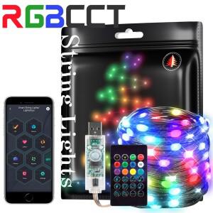 USB 드림컬러 조명 스트링 블루투스 음악 RGBIC 주소 지정 가능 파티 웨딩 화환 장식 5V WS2812B 2m 5m 10m