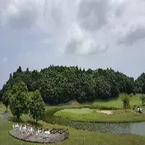 [대구출발] 이타코 골프 4일 #다색골프 #센트럴/뉴센트럴/센트럴 아소코스CC #총54홀 #전식포함 #대욕장포함 2인출발가능[추가요금]