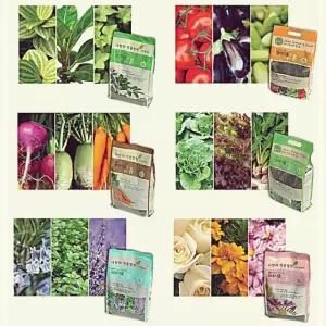 식물키우기 관엽 홈가드닝 5L 엽채식물 배양토 뿌리 화초 관엽식물흙 1W7C81983