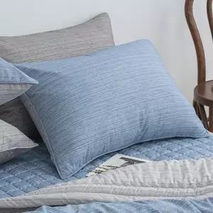 해피니 드리즐 소프트마이크로 간절기 베개커버 50x70cm (블루) (베개솜 별매)