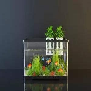 아크릴 금붕어 수조 안깨지는 오픈형 구피