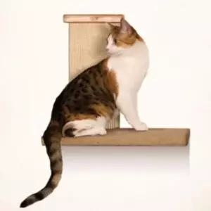 고양이숨숨집 고양이 캣타워 장난감 놀이 기구 클라이머 스크래쳐