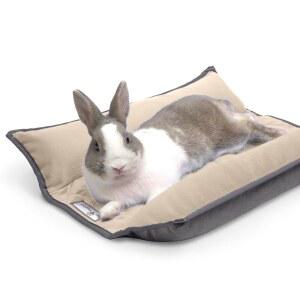 토끼 고양이 플리스 작은 위한 포옹 영감을 토끼 침대 강화 침구 플롭 받은 애완동물을 17X17인치 그레이 베이지 양면 패딩 발로