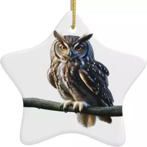 크리스마스 세라믹 별 모양 장식품 HJFCZH 쇼핑몰 슈퍼마켓 가정의 홀리데이 장식용 올빼미 프린트 등반