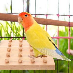 나무 앵무새 앉는 장소  새 스탠드 놀이터 훈련용품 케이지용 씹는 활동용 호환 호환 액세서리