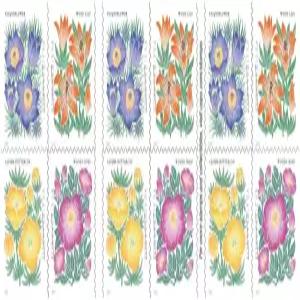 마운틴 플로라 플라워 미국 퍼스트 클래스 영원한 우표 미인 결혼식 축하 20권 1권