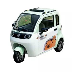 Shenghao Wenquxing 전기 삼륜차 3륜 전기바이크