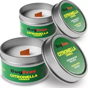 천연 벌레 없는 캔들 12온스 시트로넬라 DEET 프리 야외 캠핑용 에센셜 오일 주입 25시간 동안 연소 6온스