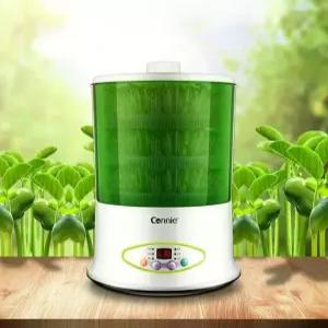 콩나물키우기 새싹재배기 가정용 청시루 콩나물재배기 발아