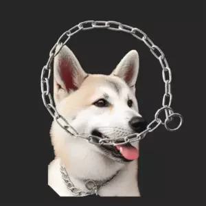 애완견목줄 초크 체인 스텐 철목 3mm 애완견목걸이 강아지줄