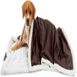 셰리 프리미엄 셀프 워밍 일란 극세사 인조 모피 반려동물 담요 40x50 브라운 소재 베스트 프렌즈