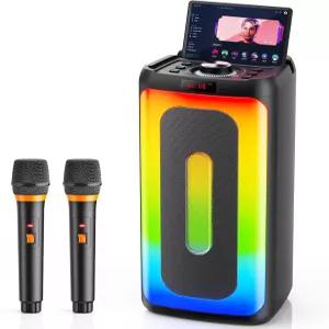 무선 마이크 2개가 장착된 HWWR 노래방 기기 휴대용 블루투스 5.3 스피커 모임용 PA 시스템 홈 파티 야외