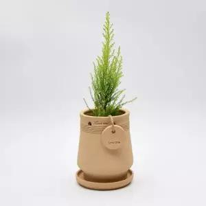 [골드스마일]내열 수제 토분 행잉 화분 12x16cm 인테리어 벽걸이 화분 실내 식물용