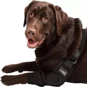 라브라 개 K9 어깨 팔꿈치 굳은살 보조기 관절염 손상된 관절을 위한 핫스팟 하이그로마 씹기 보호 랩 중간