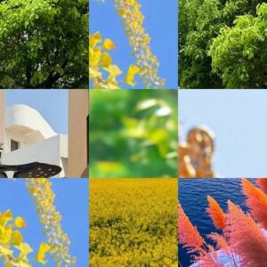 USB 3.0/USB 3.0 + Type-C 광학 드라이브 케이스 9.5mm/12.7mm SATA-USB CD ROM ODD 박스 노트북용 외장 모