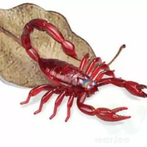 위라이즈 전갈 RC 장난감 색상랜덤 작동완구