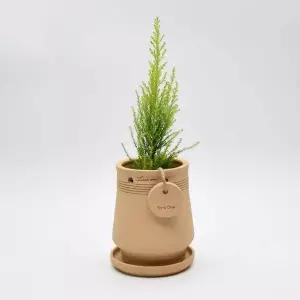 내열 수제 토분 행잉 화분 12x16cm 인테리어 벽걸이 화분 실내 식물용