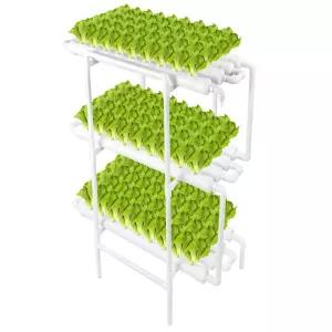 실내 수경 재배기 스마트팜 상추 식물 채소