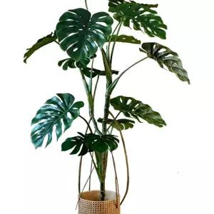 대형 인조 식물 사무실 (0cm) 개업 카페 몬스테라