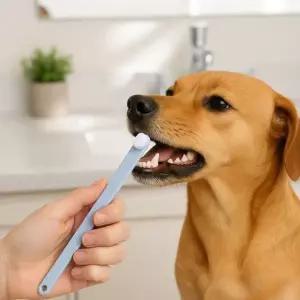 반려동물 초미세 칫솔 애완동물 위생용품 블루그레이 만모 브러시